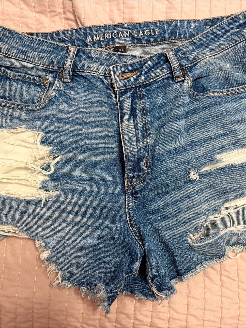American Eagle Outfitters Light Blue Distressed Denim Cutoff Shorts